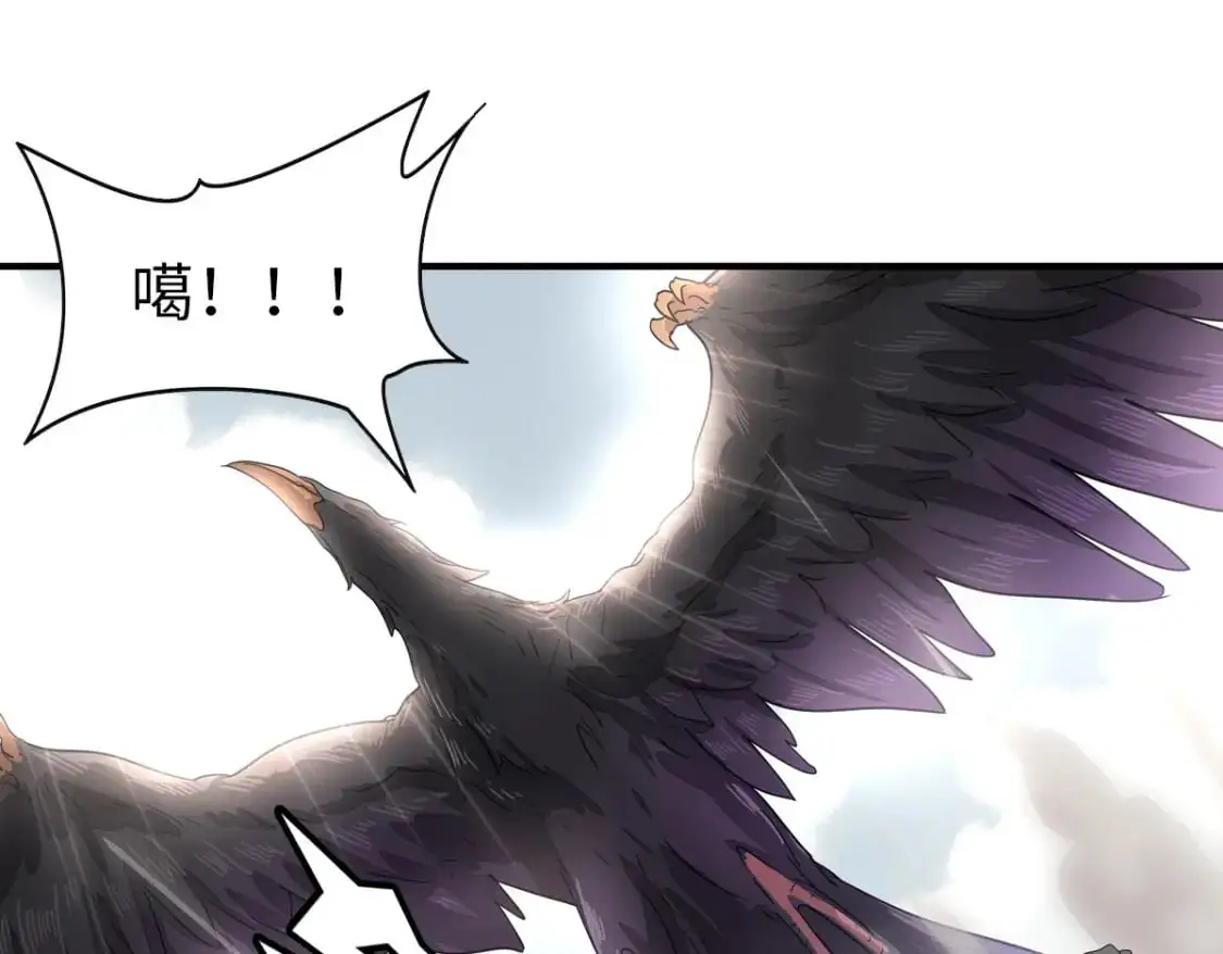 493 第49页