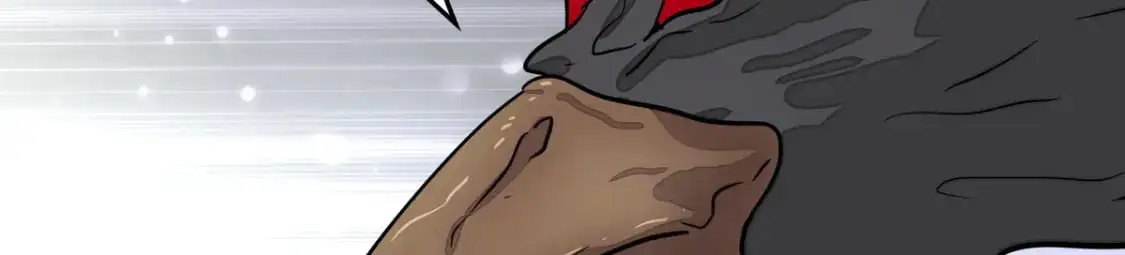 493 第60页