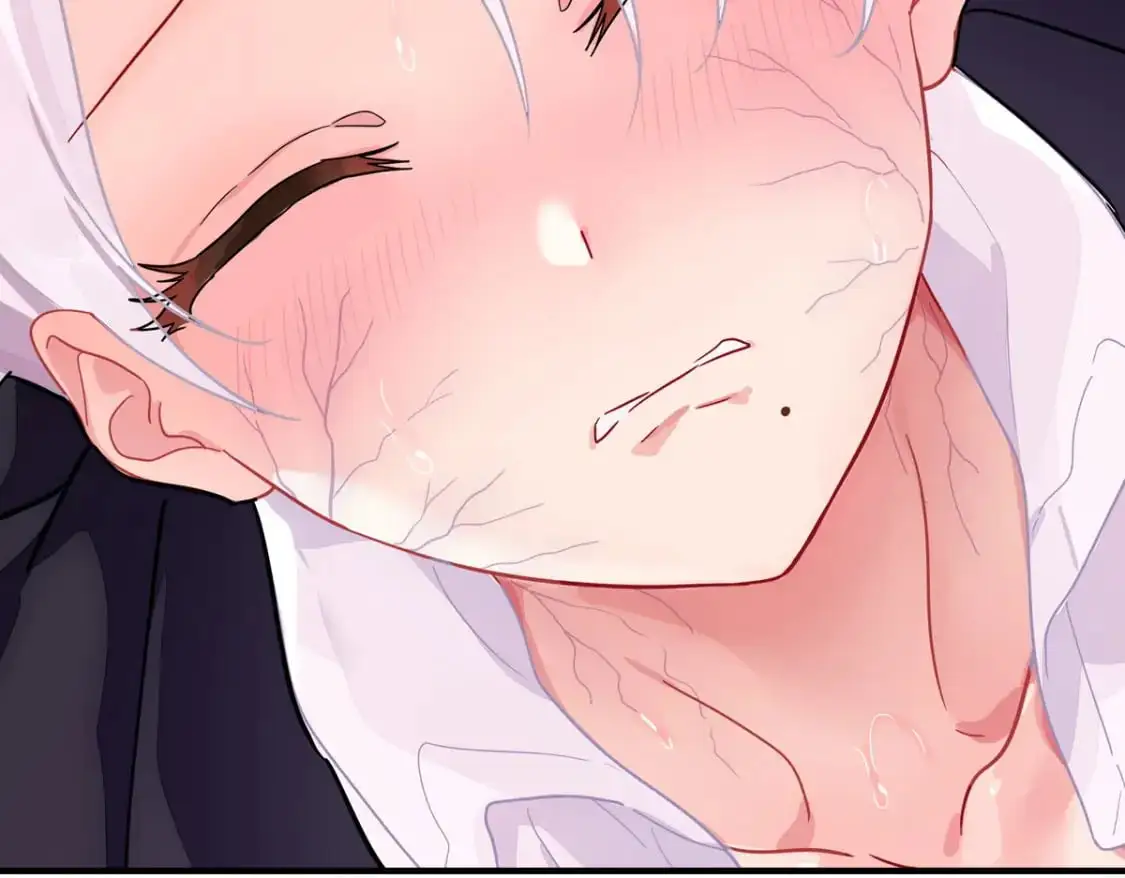 493 第71页