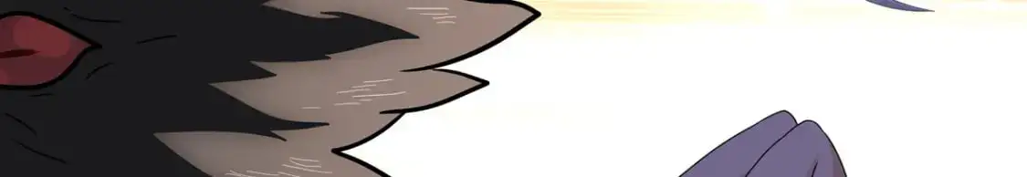 493 第114页
