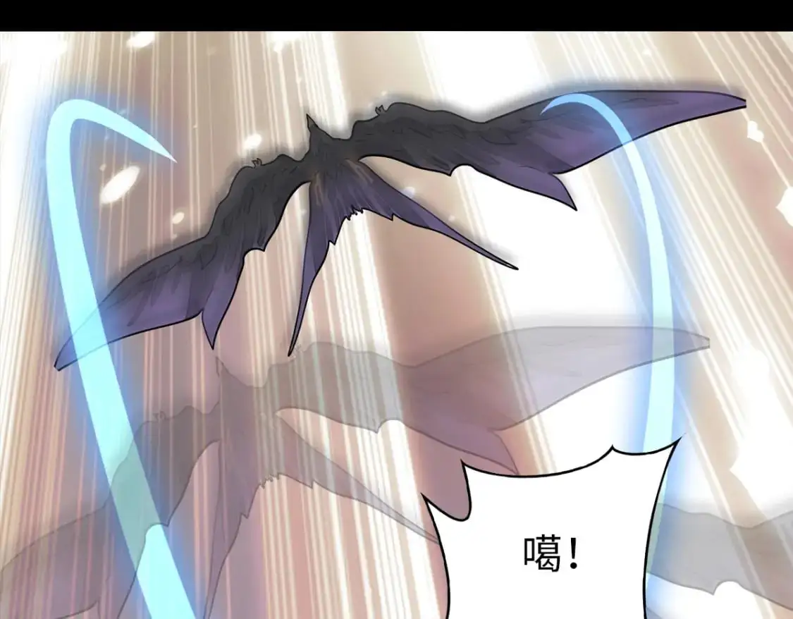 493 第116页