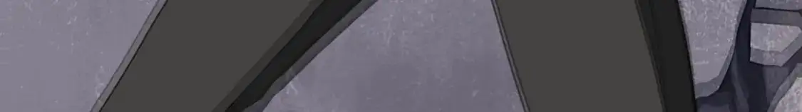 493 第135页