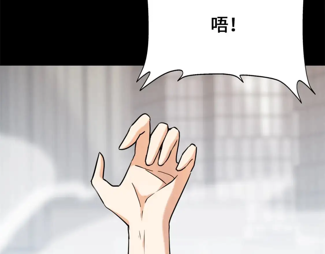 494 第5页