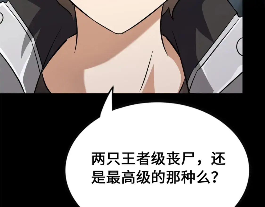 494 第41页