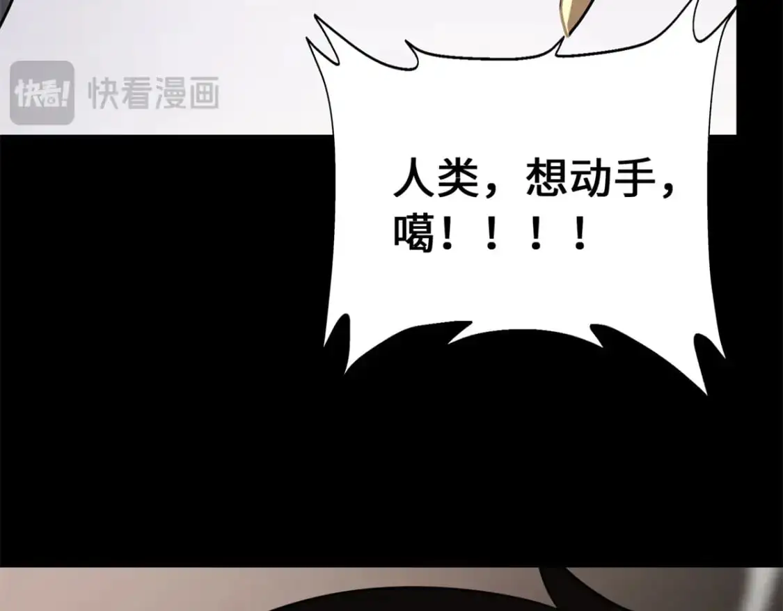 494 第55页