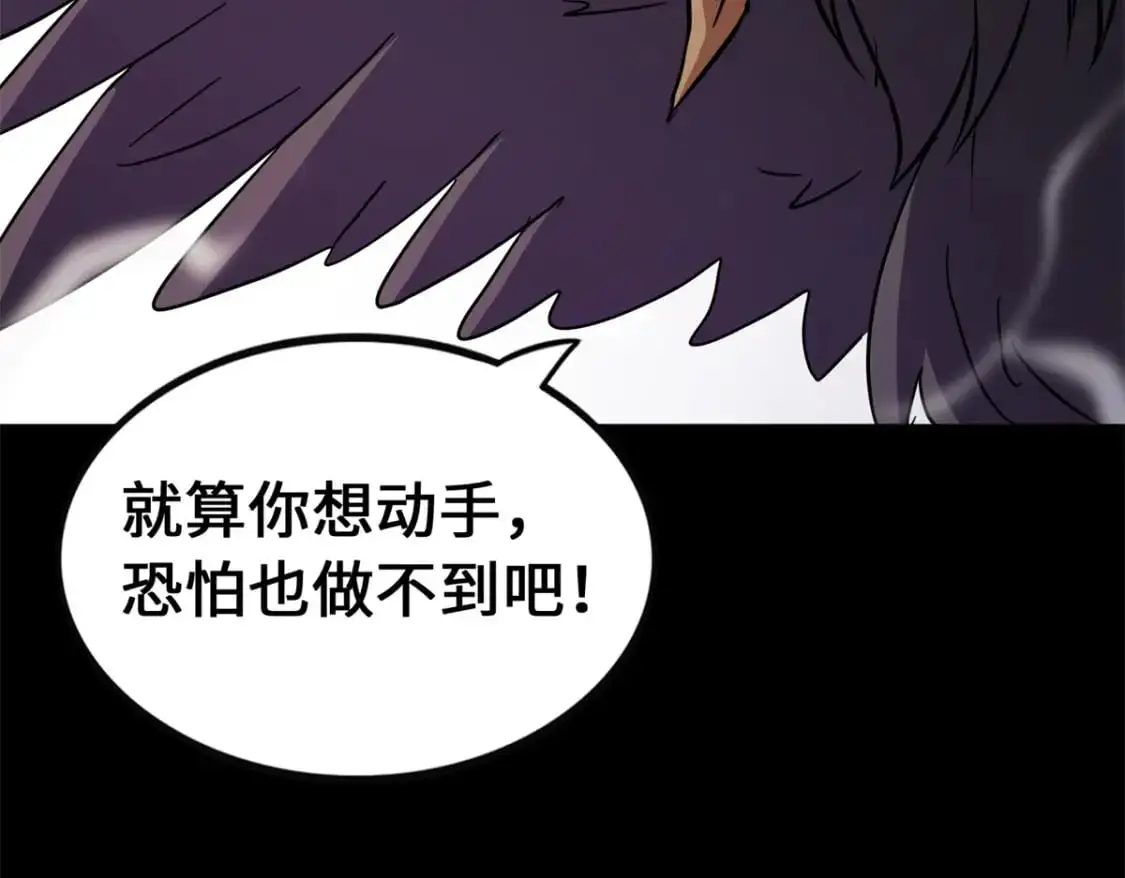 494 第67页