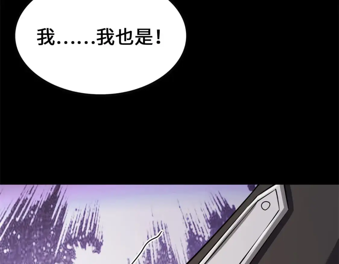 494 第81页