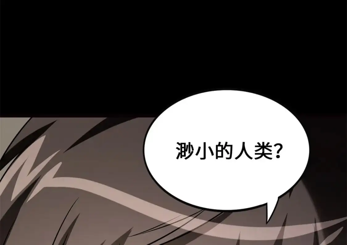 494 第138页
