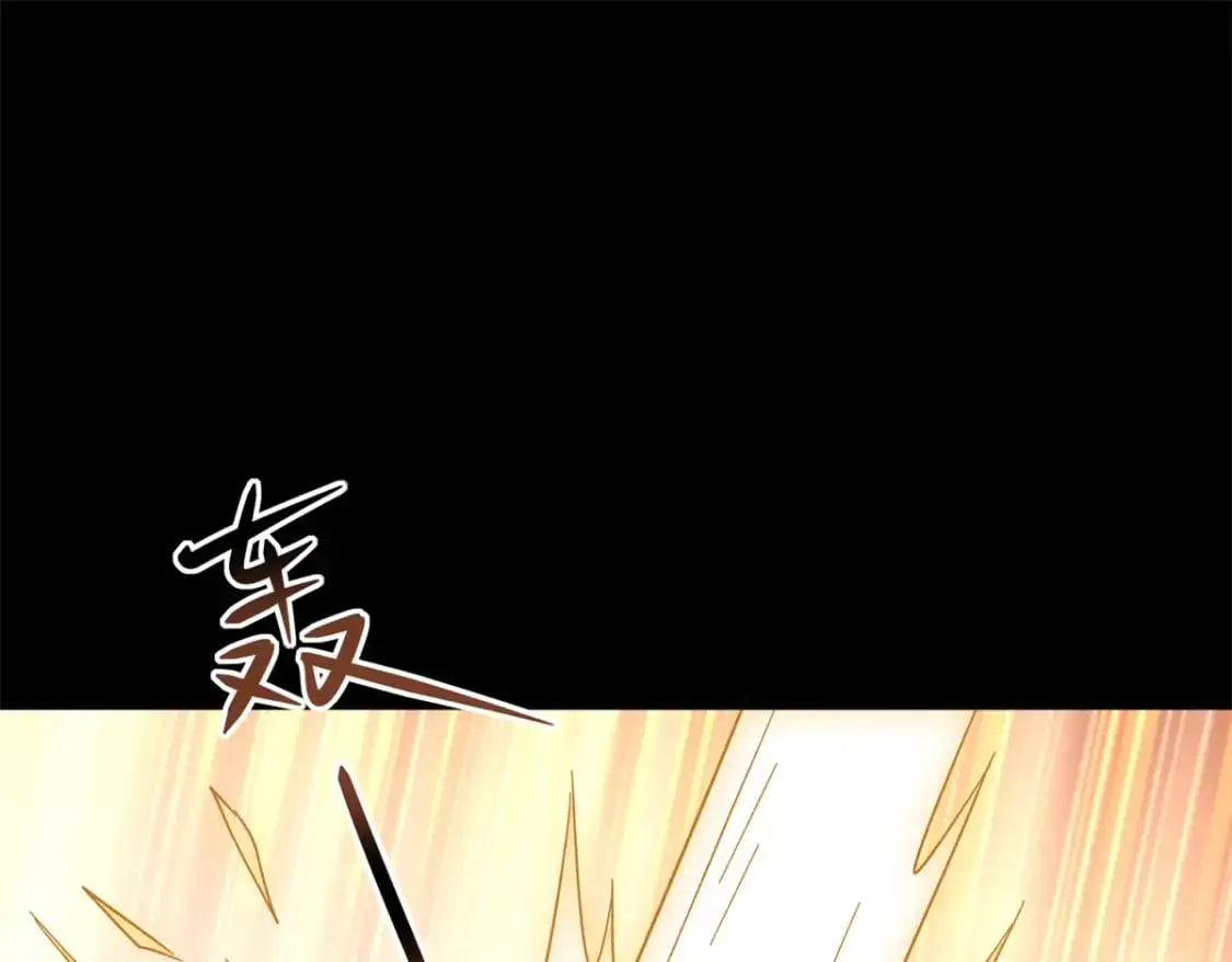 494 第213页