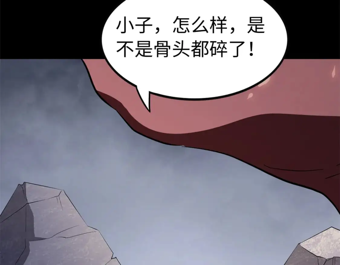 494 第217页