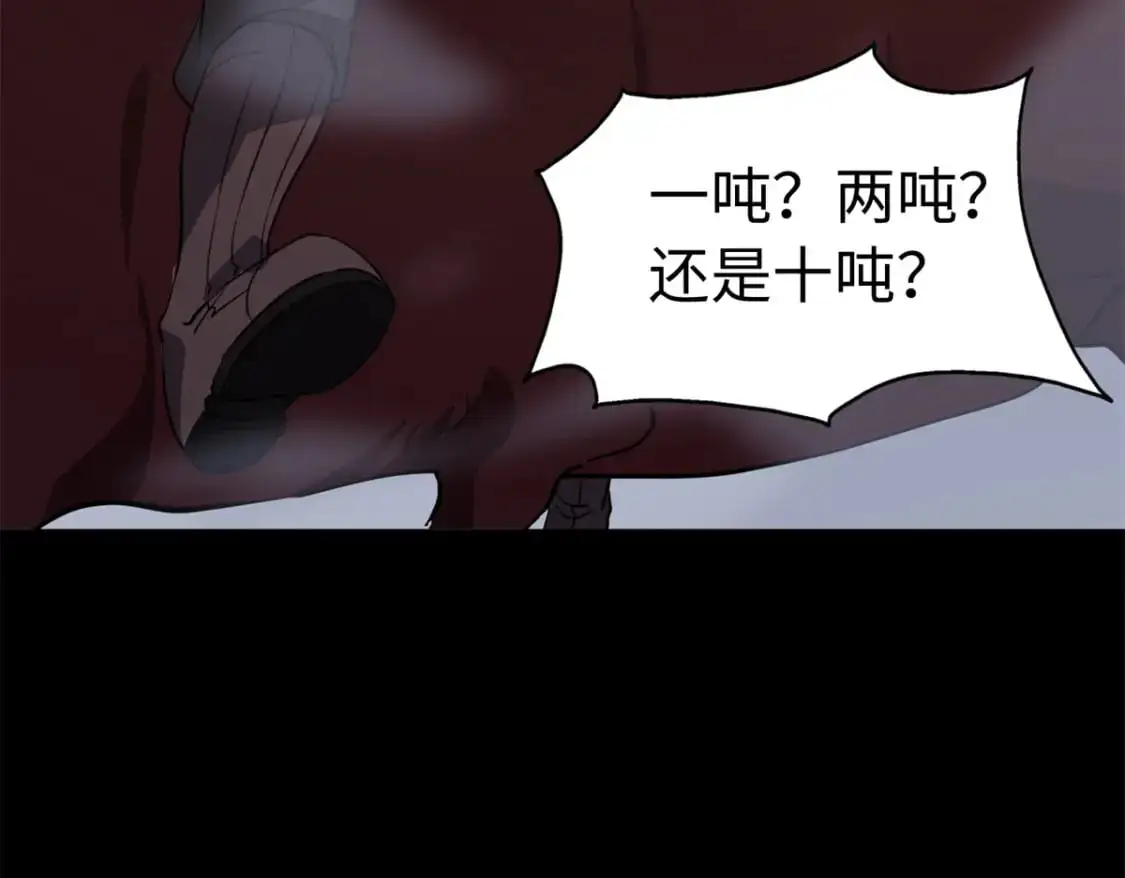 494 第231页
