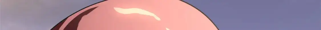 494 第237页