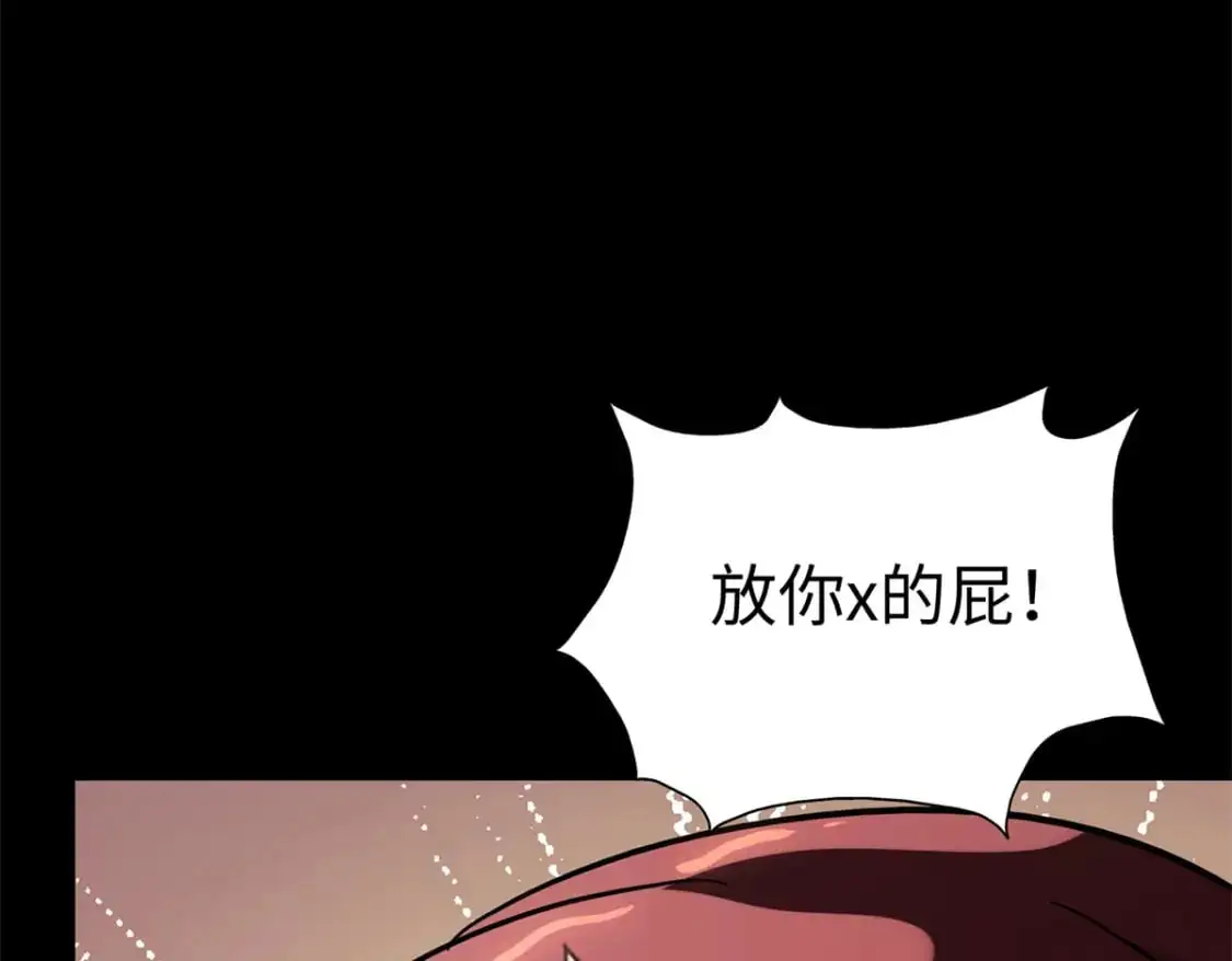 494 第242页
