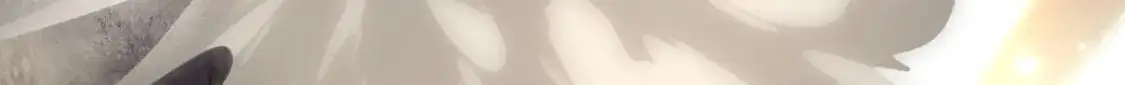 495 第42页