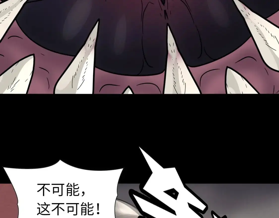 495 第49页