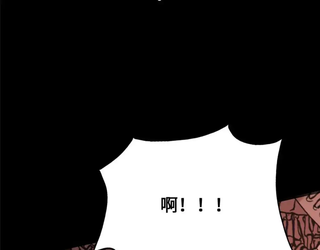 496 第43页