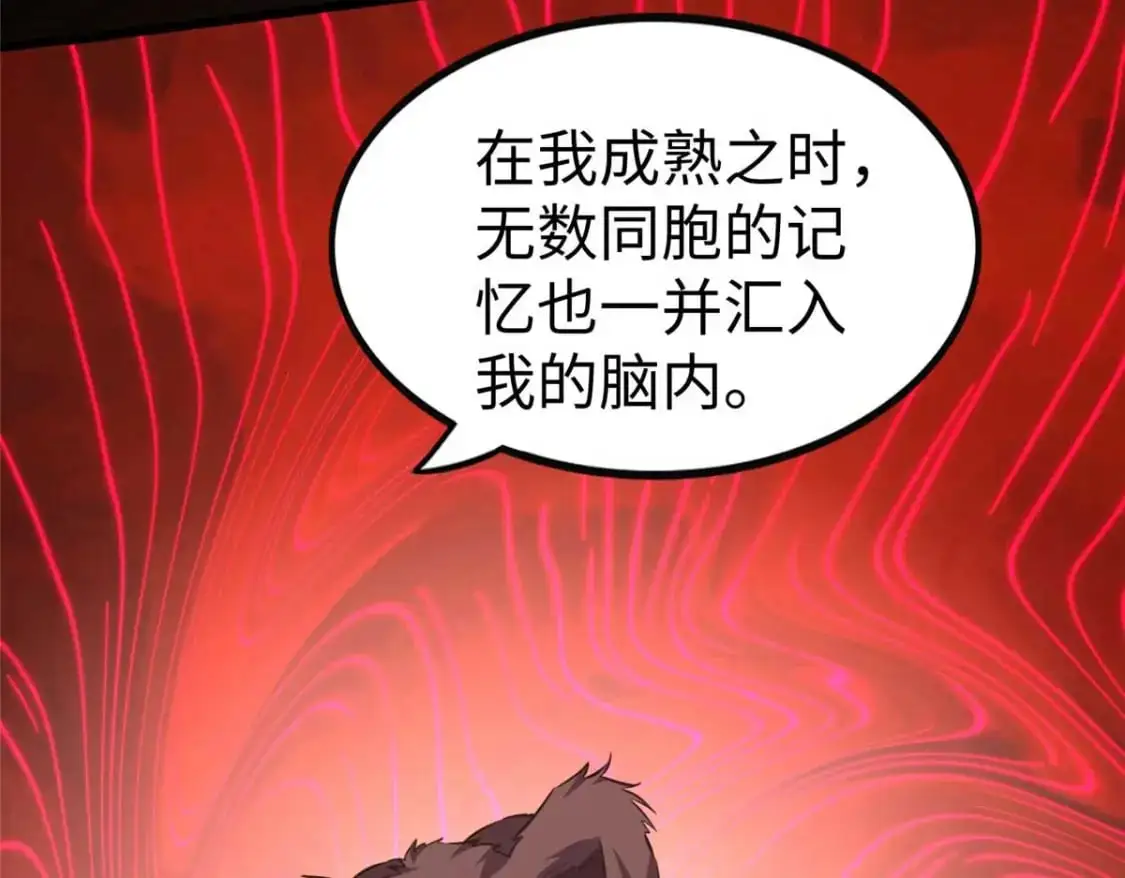 496 第67页