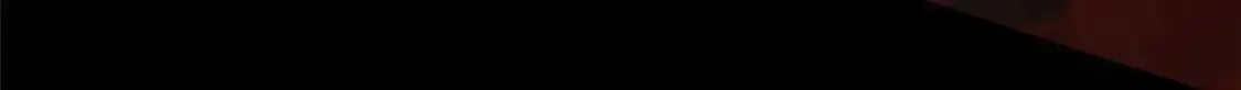 496 第77页