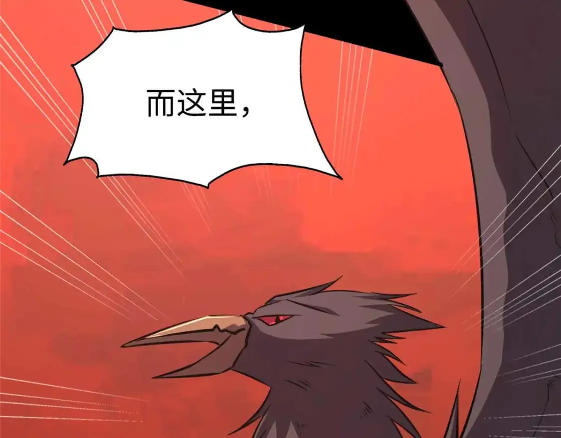 496 第79页