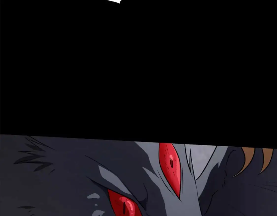 496 第135页