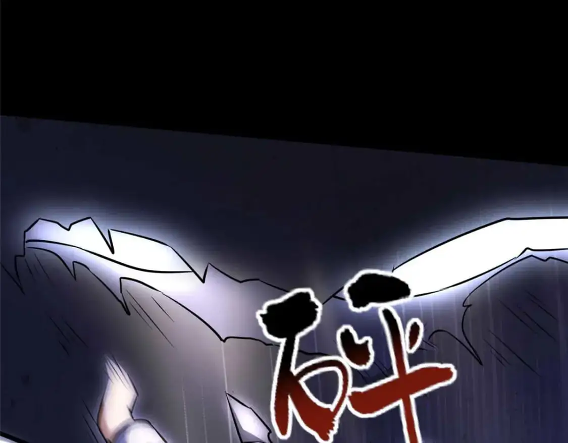 496 第164页