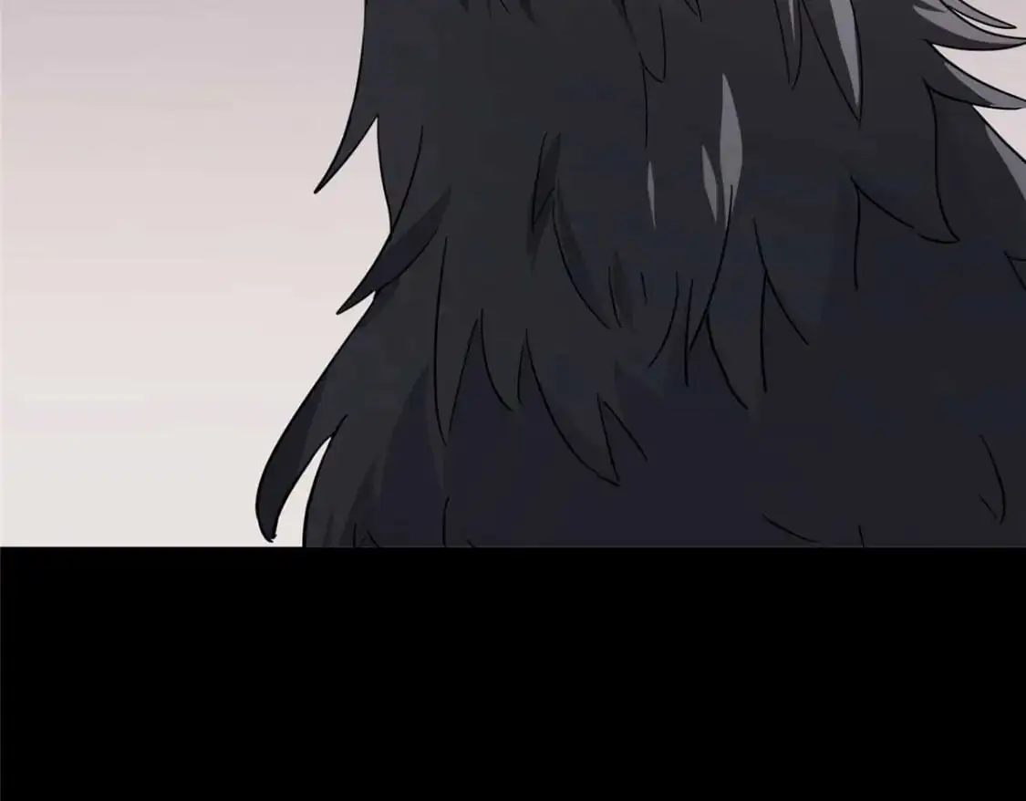 496 第205页