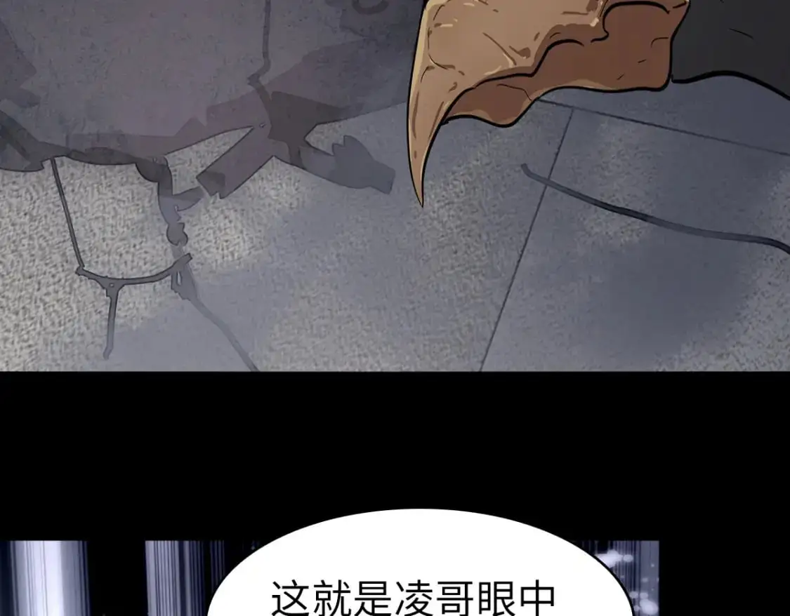 497 第62页