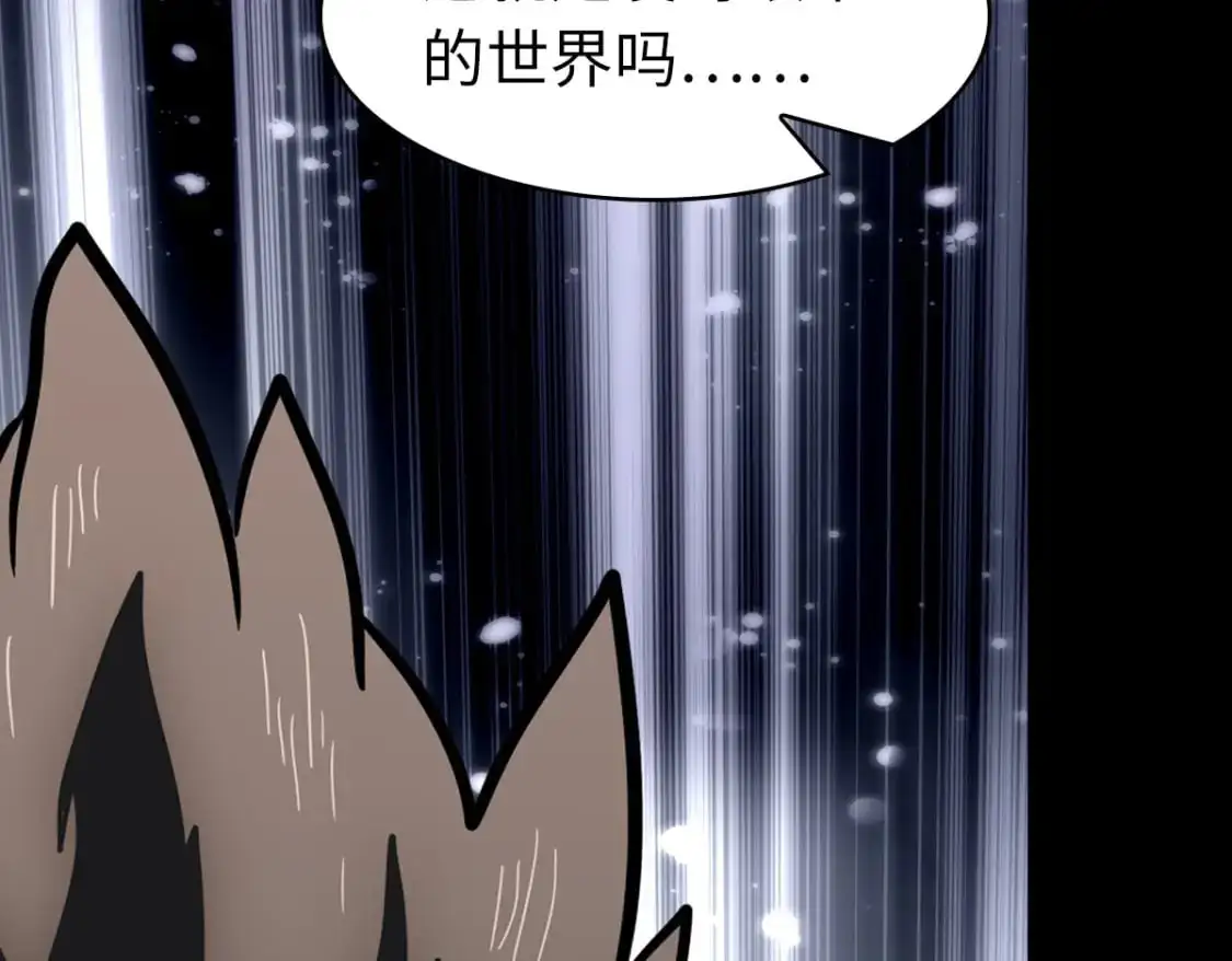 497 第63页