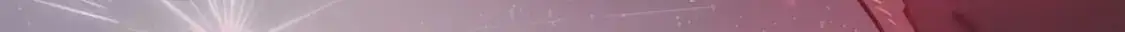 497 第67页