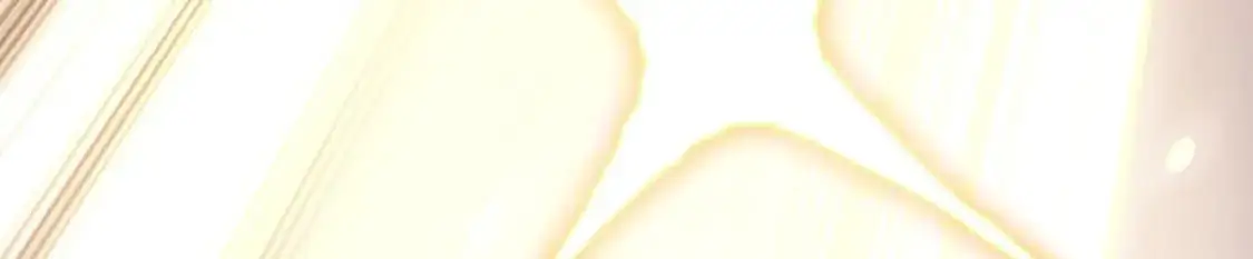 497 第97页