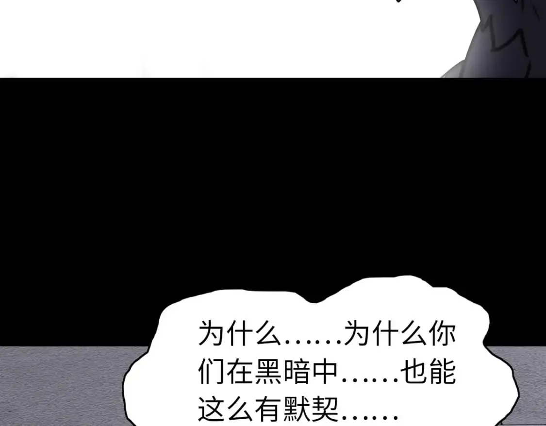 497 第113页