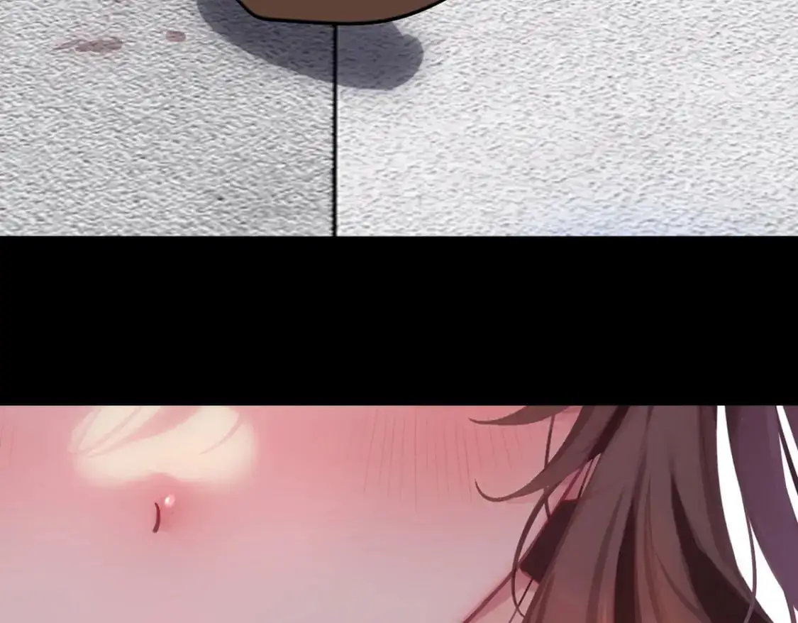 497 第115页