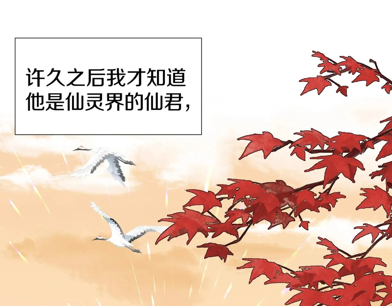 第1话 狐狐报恩 第8页