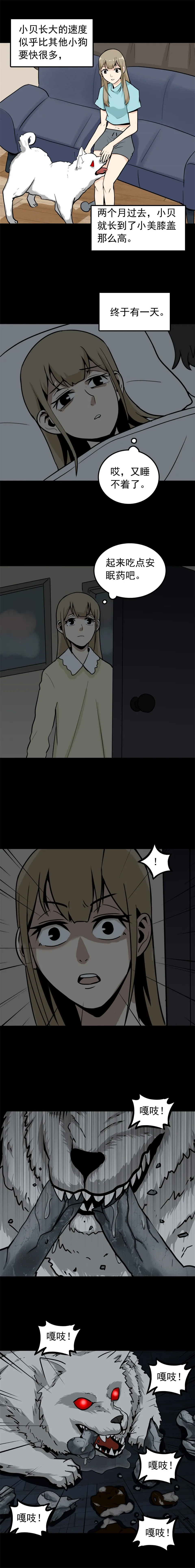 宠物 第1话 第5页