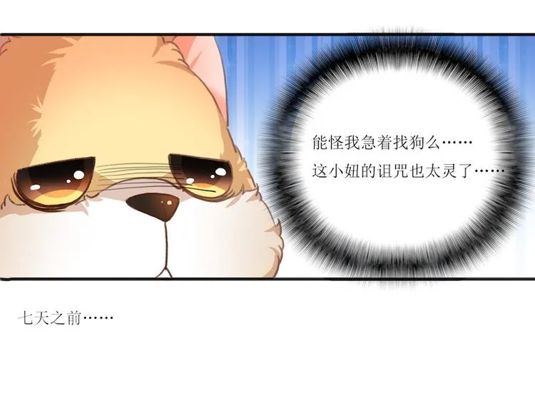 第1话 放开那个助理 第37页