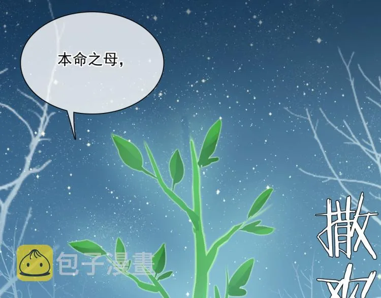 第44话 为夫人准备的大礼 第33页