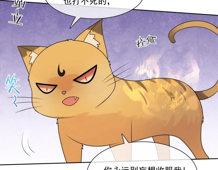 第45话 我的小猫咪 第50页