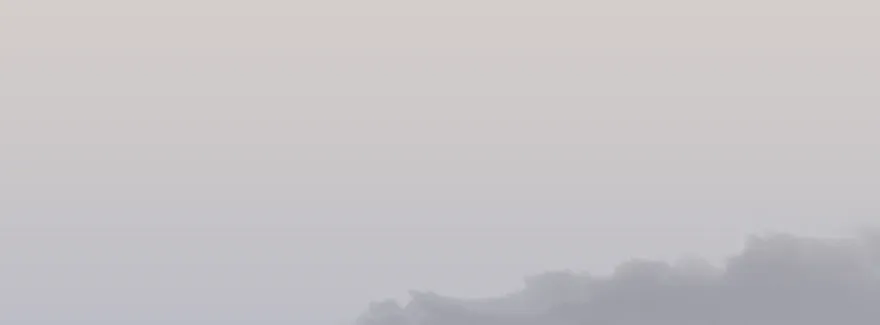 004.玄兽蛋 第41页
