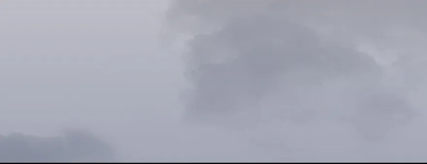 004.玄兽蛋 第42页