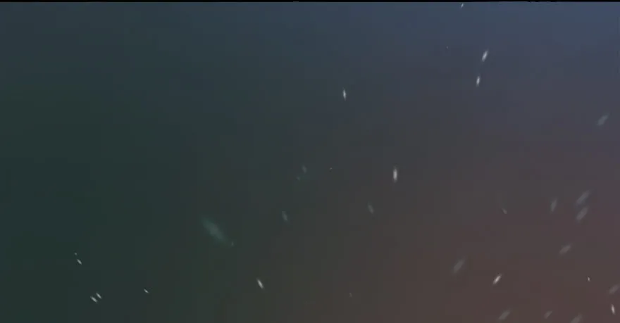 013.初战丁铭 第64页