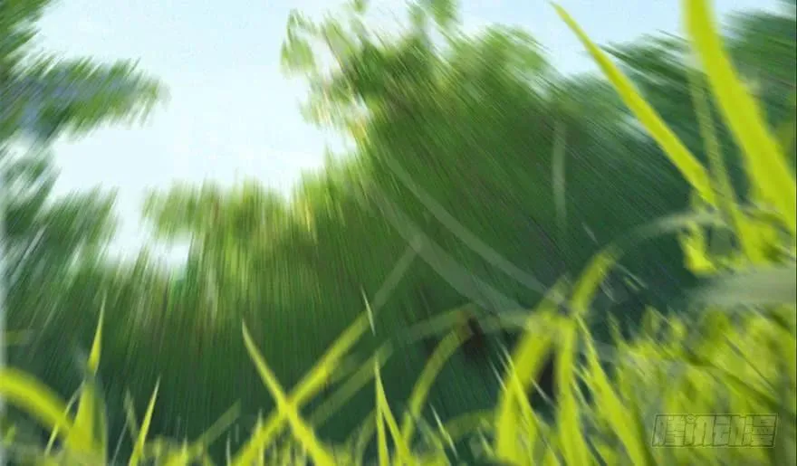 094 白堇的实力 第34页
