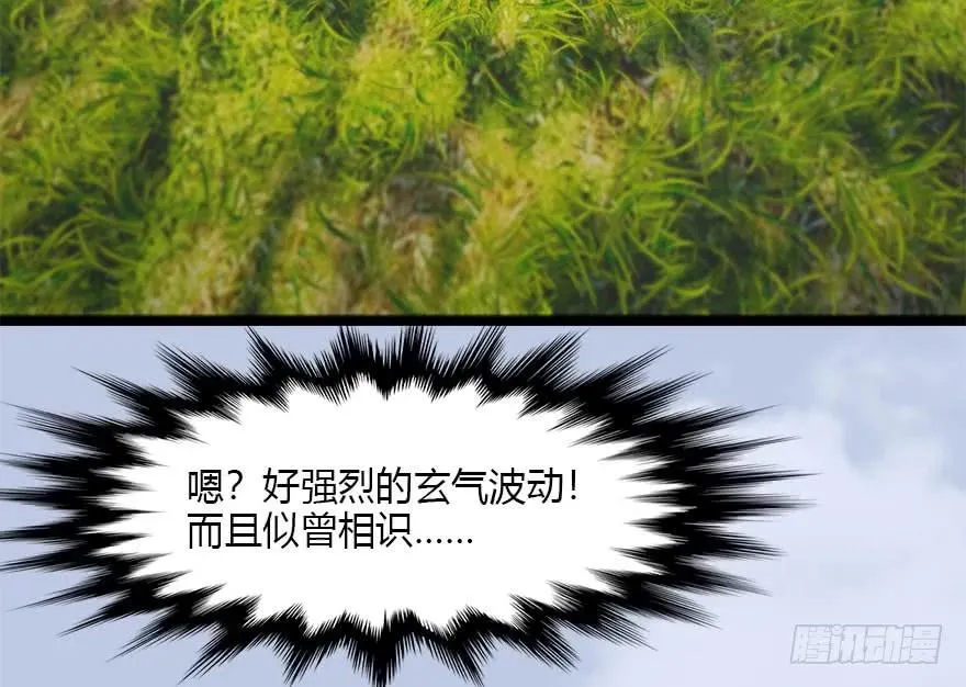 094 白堇的实力 第39页