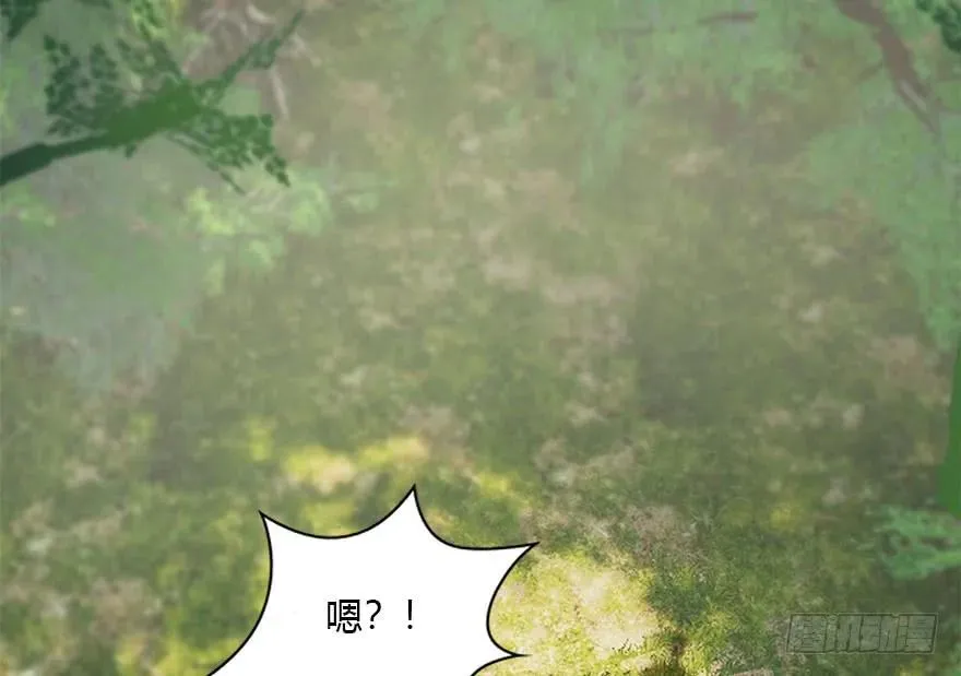 094 白堇的实力 第55页