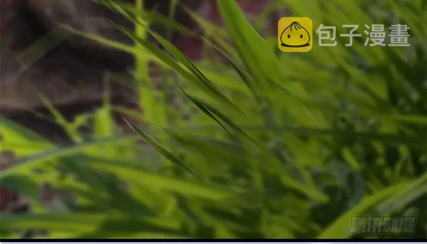 094 白堇的实力 第62页