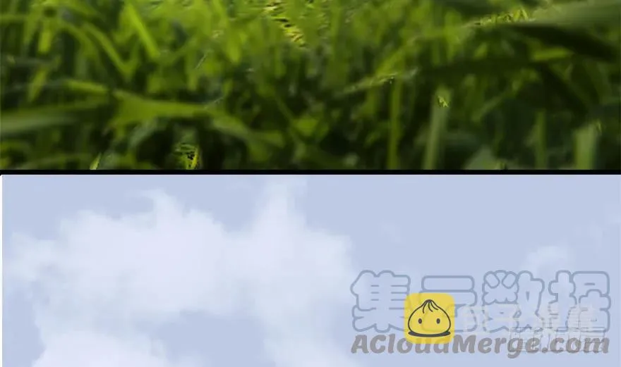 094 白堇的实力 第81页