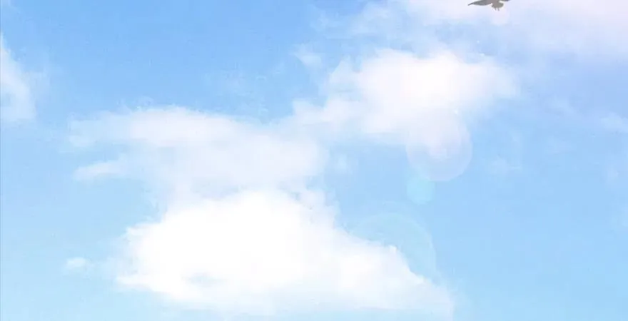 第166话：闭小月VS泰山王 第5页