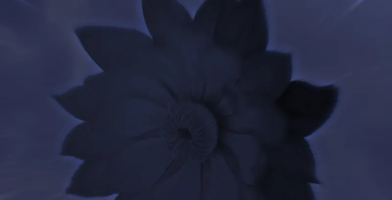第237话：请品尝我吧 第78页