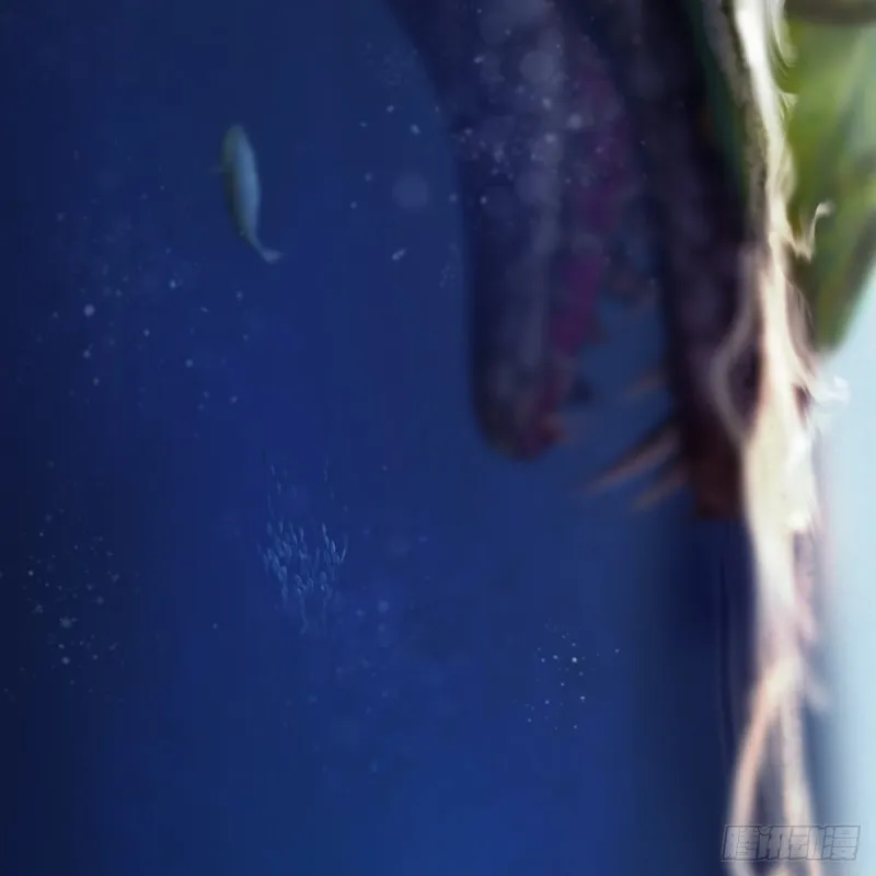 第271话：七星玄兽 第25页