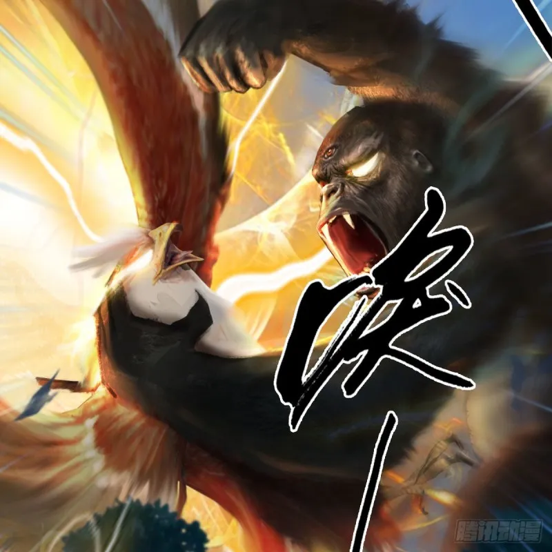 第355话：万蛇林 第24页
