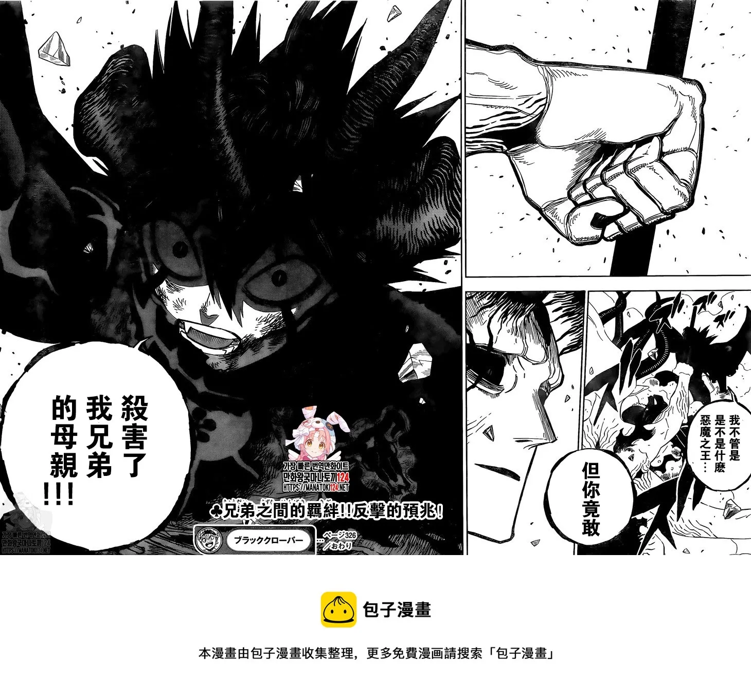 第326话 兄弟 第12页